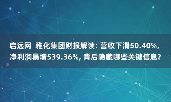 启远网  雅化集团财报解读: 营收下滑50.40%, 净利润暴增539.36%, 背后隐藏哪些关键信息?
