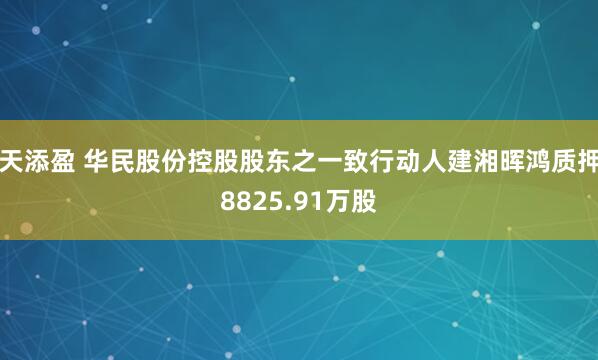 天添盈 华民股份控股股东之一致行动人建湘晖鸿质押8825.91万股