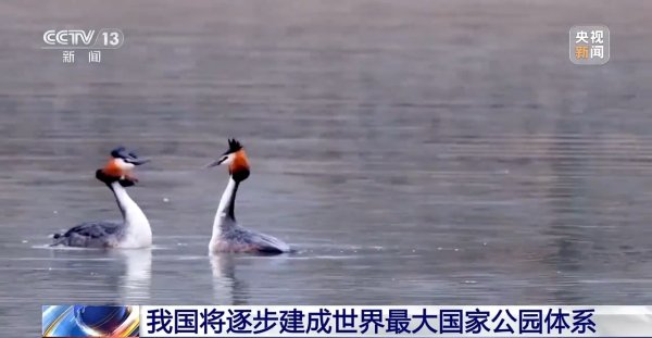 嘉创配资 我国将逐步建成世界最大国家公园体系