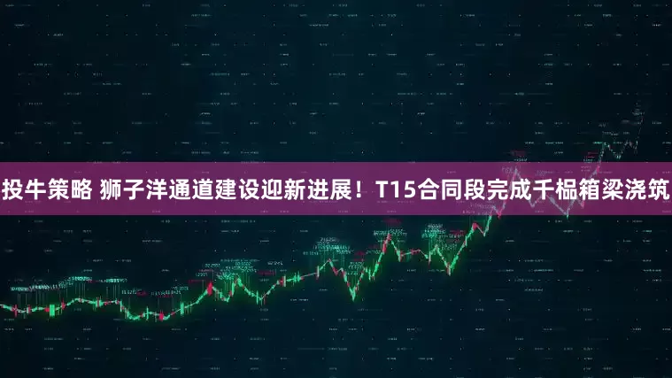 投牛策略 狮子洋通道建设迎新进展！T15合同段完成千榀箱梁浇筑