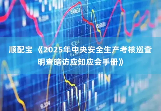 顺配宝 《2025年中央安全生产考核巡查明查暗访应知应会手册》